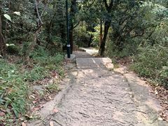 -杭州黄龙洞