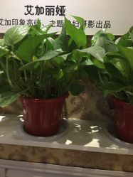 -艾文全家福亲子孕妇摄影馆(银基王朝店)