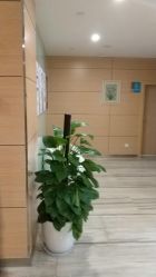 -重庆联合丽格第五医疗美容医院