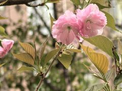 -木塔寺遗址生态公园