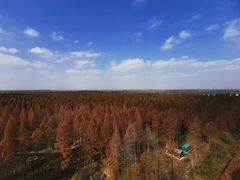 -黄海国家森林公园