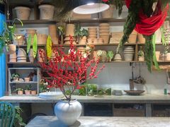 -自由生长植物工作室(深港花卉中心店)