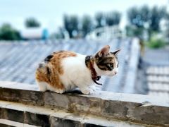 -后海16号·北京私房菜