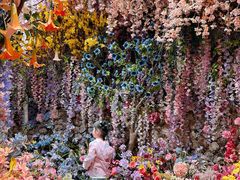 -正佳雨林生态植物园