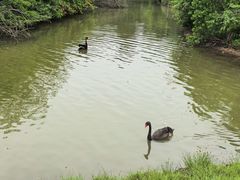 -琅岐红光湖公园