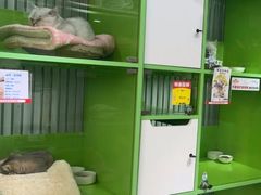 -唐小姐の猫狗洗护·购宠旗舰店(周浦万达店)