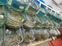 -烁佳海鲜大馅饺子
