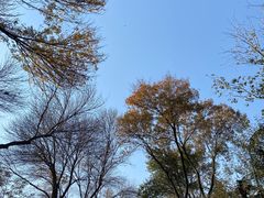 -济南南郊宾馆