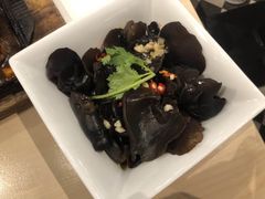 凉拌木耳-避风塘(嘉兴八佰伴店)