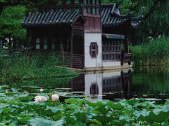 -和平公园