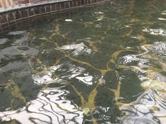 -龙达温泉生态城