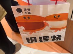 -岭南站NOVA