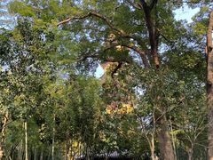 -阿育王寺