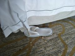 -碧桂园凤凰城酒店(南京店)