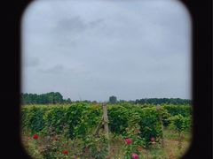 -安德鲁户外烧烤帐篷营地(马泉营店)