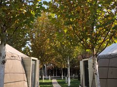 包房-九十九顶毡房(阜石路店)