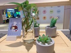 -炖物24章·顺时轻养茶(黄龙店)