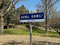 -香山公园