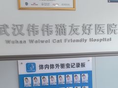 -伟伟宠物医院·瑞派猫友好医院·猫科(光谷店)