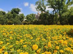 -上海市龙华烈士陵园