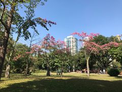 -晓港公园