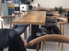 -平行世界·猫咖(首经贸店)