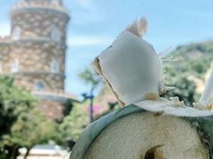 -芽庄珍珠岛游乐园