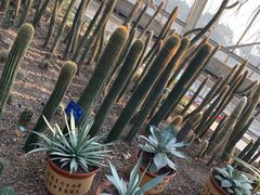-南山植物园