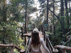 -宝安西湾红树林湿地公园