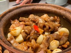 -大榕树下顺德菜(融创茂店)