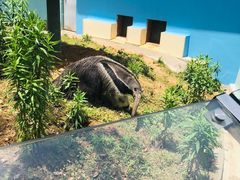 -无锡动物园·太湖欢乐园