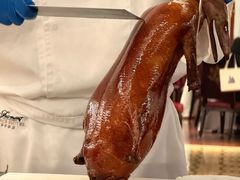 -上海和平饭店龙凤厅 Dragon Phoenix