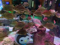 -沈阳海洋探索中心