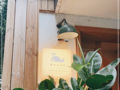 -懒鱼时光馆(沙坪坝店)