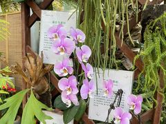 -北京植物园-展览温室