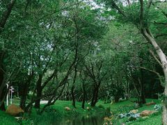 -人民公园(罗湖区)