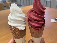 -喜茶(佛山南海万科广场店)