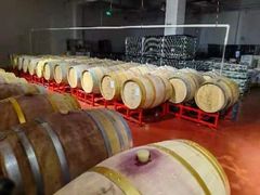 -丹世红酒庄·烧烤·团建·婚礼·水上运动