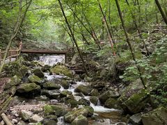 -青峰峡国家森林公园