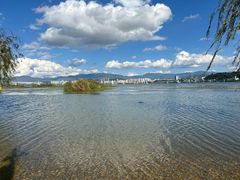 -洱海月湿地公园