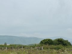 -密苑云顶乐园