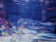 -沈阳海洋探索中心