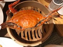 -都会尚膳·海鲜自助餐厅(重庆万豪酒店)