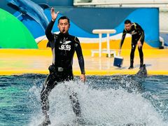 -秦皇岛乐岛海洋王国