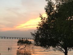 -宝安西湾红树林湿地公园