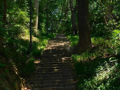 -浙江大学(之江校区)