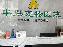-半岛宠物医院24小时(科华中路店)