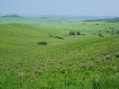 -塞罕坝国家级自然保护区