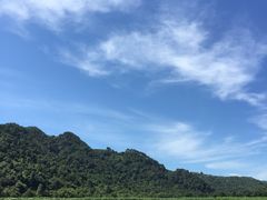 -中国茶叶博物馆(双峰馆区)