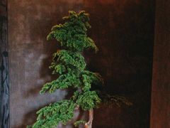 -双海潮·海鲜融合菜(如是海店)